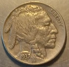 1937 Buffalo Nickle