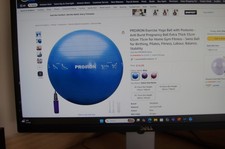 PROIRON Printed Exercise Yoga Ball - Blue