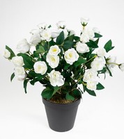 Rosenbusch 30Cm Weiß Im Topf Zf Kunstpflanzen Kunstblumen KüNstliche Blumen