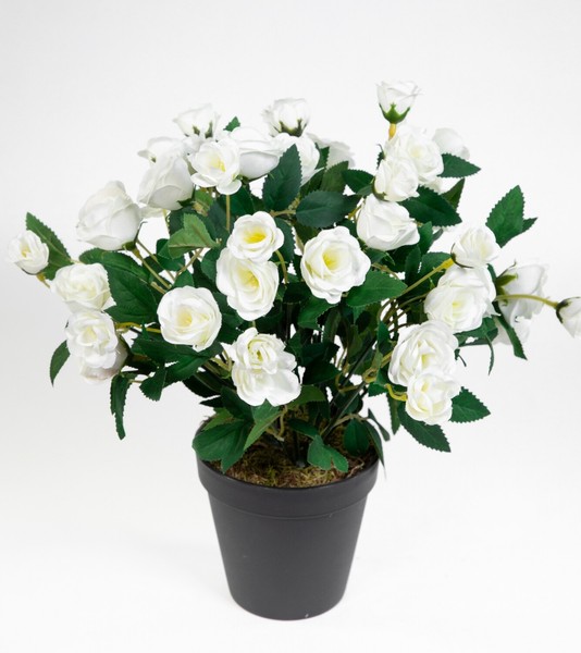 Rosenbusch 30Cm Weiß Im Topf Zf Kunstpflanzen Kunstblumen KüNstliche Blumen-image
