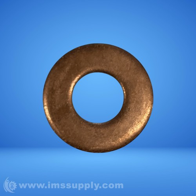#ad Flat Washer USIP $1.80