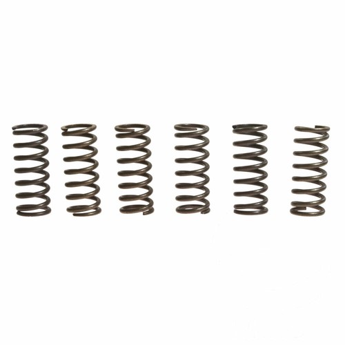 Jeu De 6 Ressorts D'embrayage EBC Pour Honda CB 650 C Custom 80-81 / CBX 1000 Super Sport 79 - Réf. CSK084