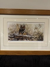 Stunning Framed Signed Limited Edition Print of a Bengal Tiger by Tony Forrest