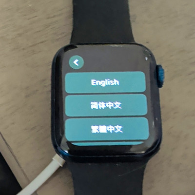 Apple Watch Series 6 40mm Blue  Aluminum Case Black Silicone Band
