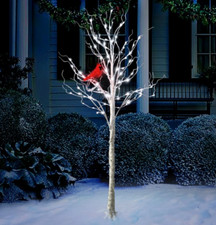 6' Twinkling LED Birch Tree With LED Cardinal Christmas Yard Decoration