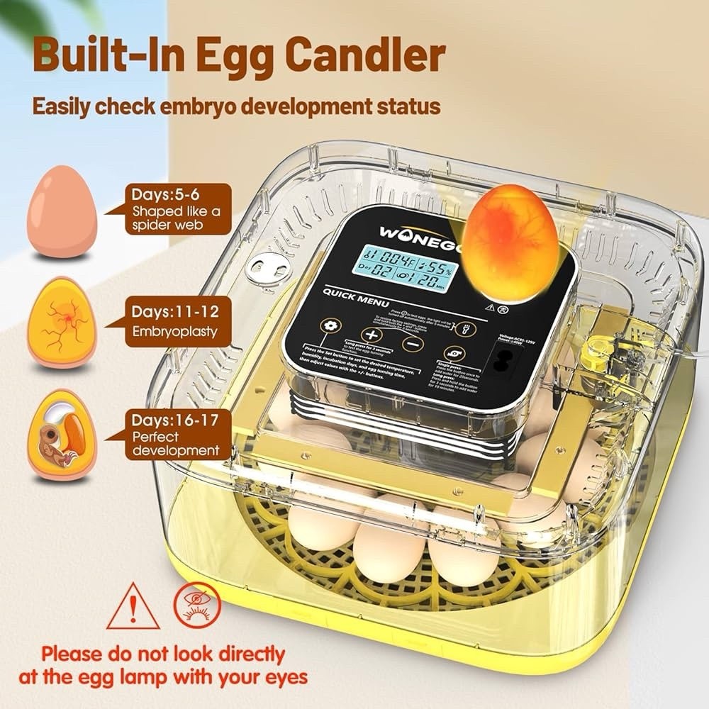 12 Eggs Incubator with Automatic Egg Turning Temperature