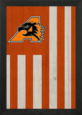Aledo Bearcats Flag Framed Wall Art Poster Canvas Print Picture