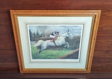 Desert Orchid, Colin Brown Limited Signed Print Sue Wingate 23 Of 500 Horse Race