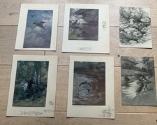 G D ARMOUR Vintage Scottish FLY FISHING Print x 6 Mounted Superb Condition