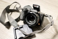 Panasonic LUMIX DMC-FZ5 (Retro '2000s Digi-Cam)