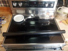 G Loomis NRX+ 690-4 9'0" 6WT Fly Rod - Nuovo in tubo metallico non registrato 