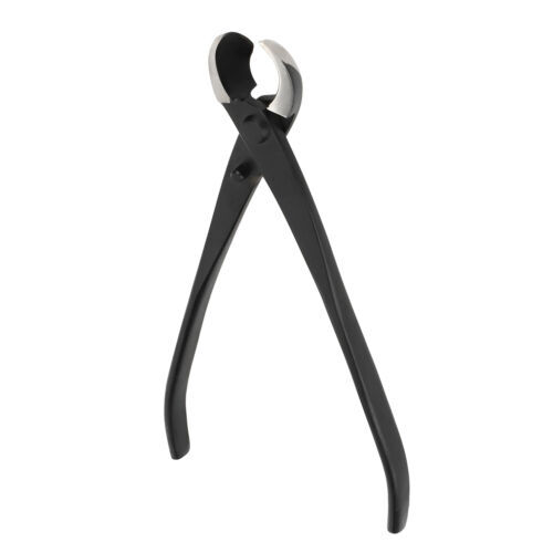 昌国　No8116 昌国No8116