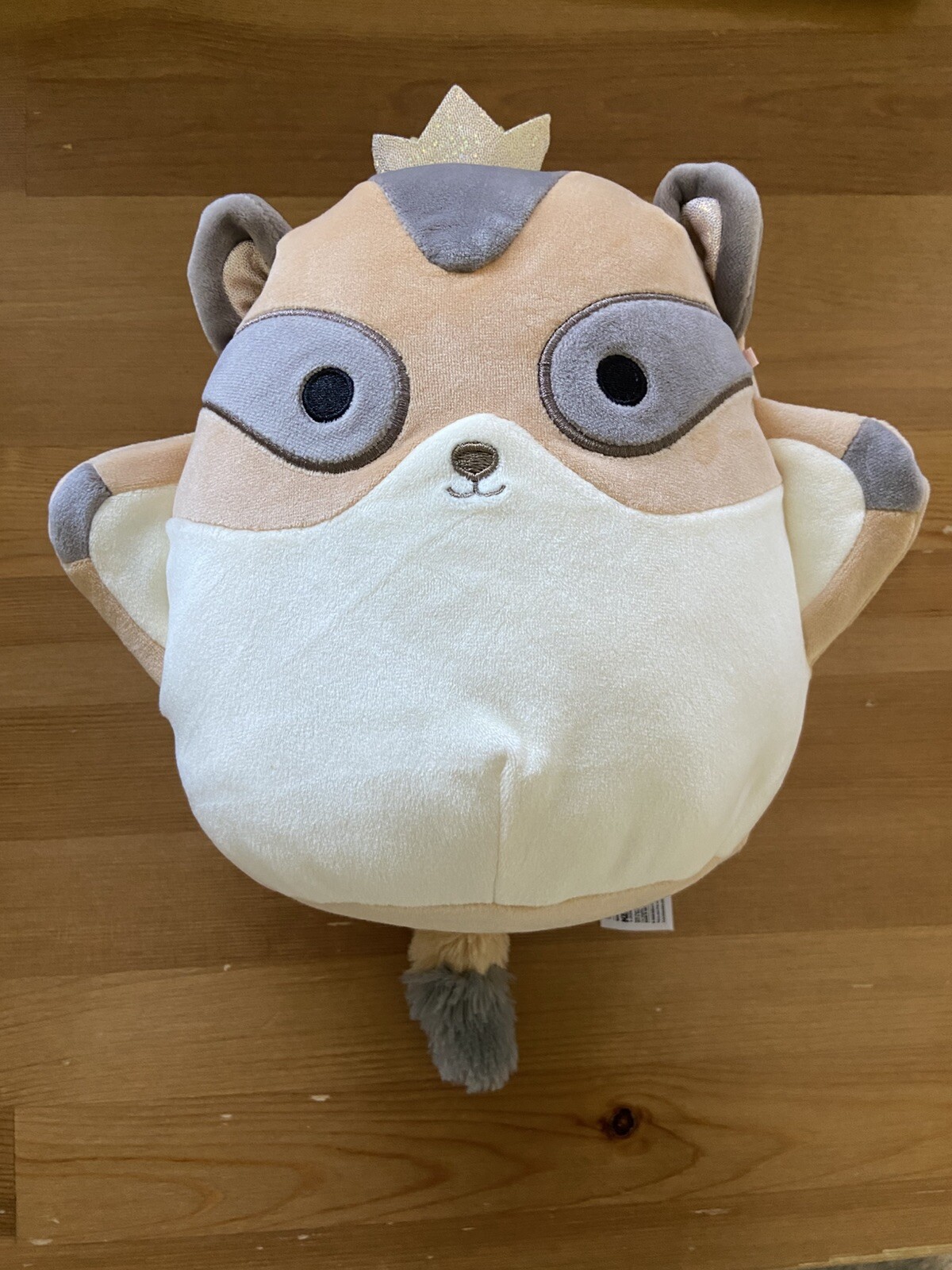 Squishmallow Raccoon Princess 10