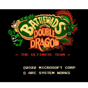 Battletoads & Double Dragon NES (SP) [152534]