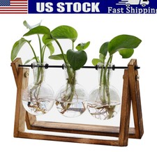 Plants Propagation Stations Hydroponic Plant Transparent Vases Pot Home Decor