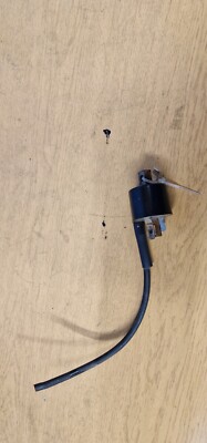 ScooterLibre Zündspule Mit Kabel 1 Steckanschluß (für: Pegasus R 50 X