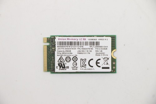 Lenovo 5SS0W76183, 256 GB, M.2
