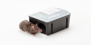 bait station rat rodent disposable baited rats kills pre