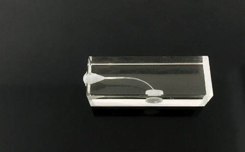 10pcs Dental Endo Canal Files Practice Blocks Curved Clear Color 2Type - Picture 3 of 10