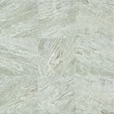 Shaw CS37V Casino Plsh - 24" Square Floor Tile - Polished Visual - Stella
