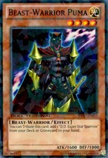 Beast-Warrior Puma - DT07-EN052 - Common - Duel Terminal - Heavily Played