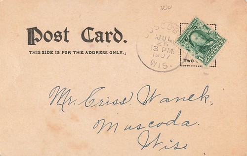Postkarte A Toast Stars and Stripes Land unserer Geburt American Girl UDB 1907 - Bild 2 von 2