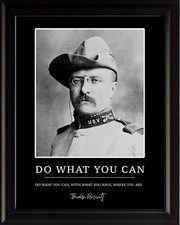 Theodore Roosevelt Do What You Can Poster Pri...