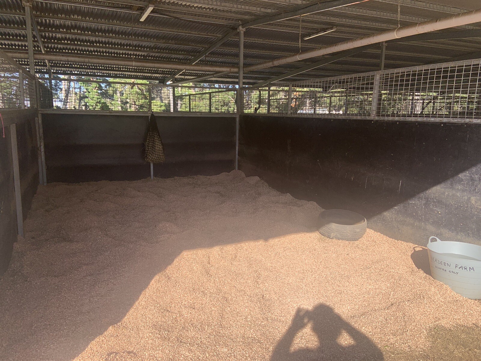 Premium Hardwood Wood Shavings, Horses, Chickens,Rabbits,Birds