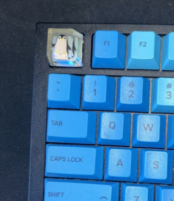 Glorious GMMK Pro Custom Built Keyboard - with the Ice Cube Penguin Key - Fun!