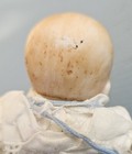 Bild 12 von 15