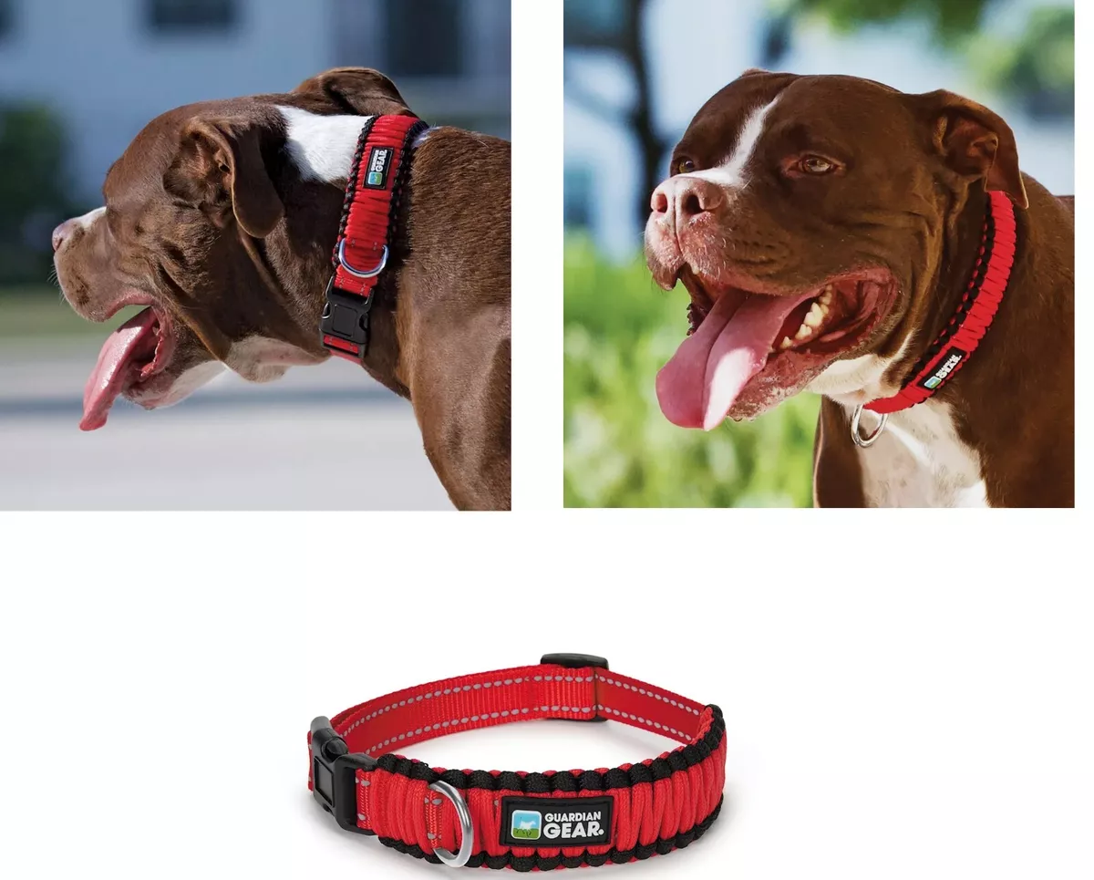 Red Reflective Paracord Rope Weave Fashionable Durable Secure Buckle Dog Collar (12 to 14 inches)