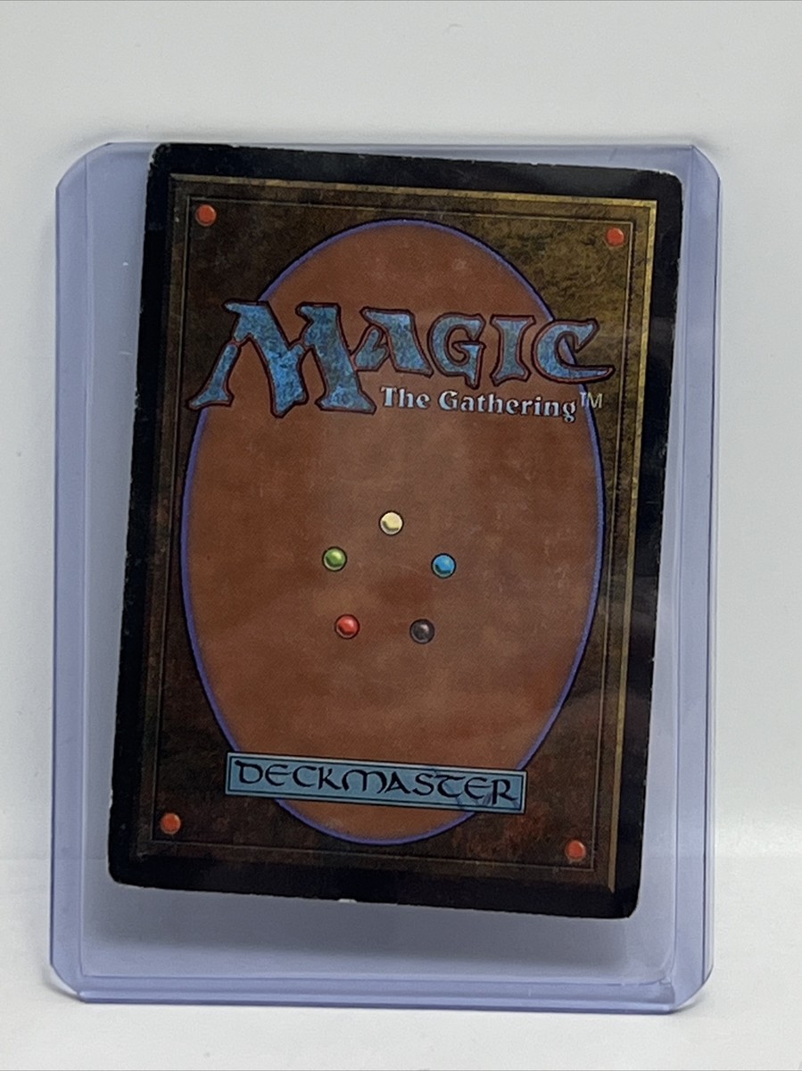 コ*ク様 Magic:The Gathering Revised Edition MTG Magic the Gathering REVISED EDITION FOREST #304 UNPLAYED