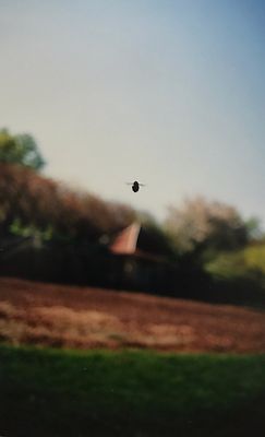 Instruction Manual No 3：Terri Weifenbach Instruction Manual No 3