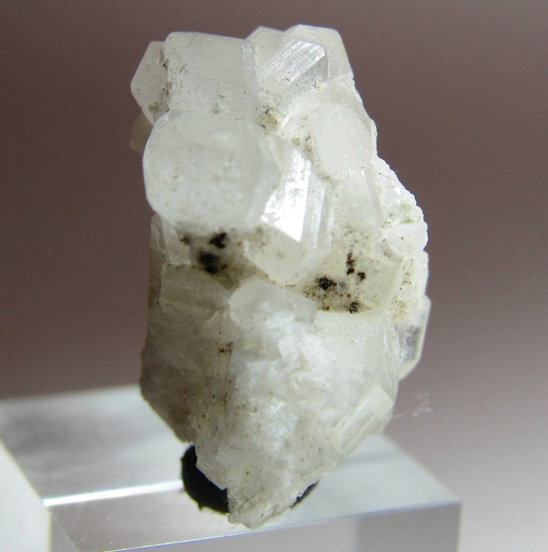 SPECIAL PHENAKITE  PHENACITE CRYSTAL CLUSTER ON MATRIX!!! MT ANTERO COLORADO