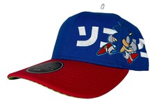Bioworld SEGA Sonic the Hedgehog Side UV Precurved Snapback Hat, 14 , Rare