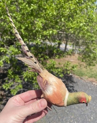 Vintage 20th C. Ring Necked Pheasant Christmas Tree Feather Decoration