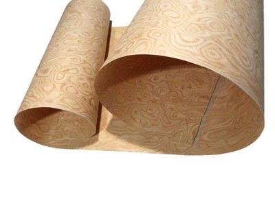 VOGELAUGEN BLEU COLORÉ Placage Holzfurnier SaRaiFo