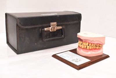 Mr. Gross Mouth Health Edco Smokeless Tobacco Dental Hinged Model W BOX