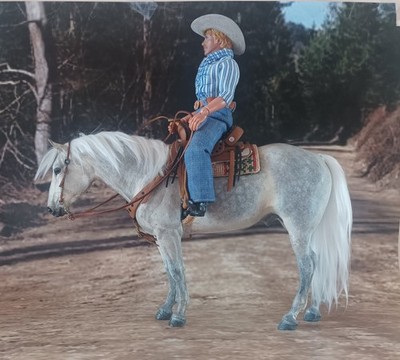 Modellpferd Traditional 1:9, rh Breyer Adios cust by LBR+Sattelset+Reiter v.Mego