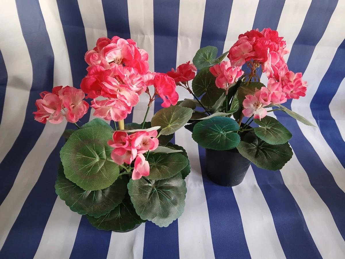 Geranie Dekoblumen & knstliche Pflanzen online kaufen | eBay.de