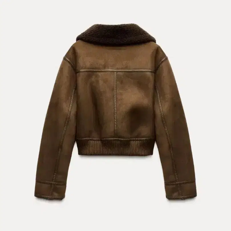 Zara Double-Faced Mouton Coat, Worn Once