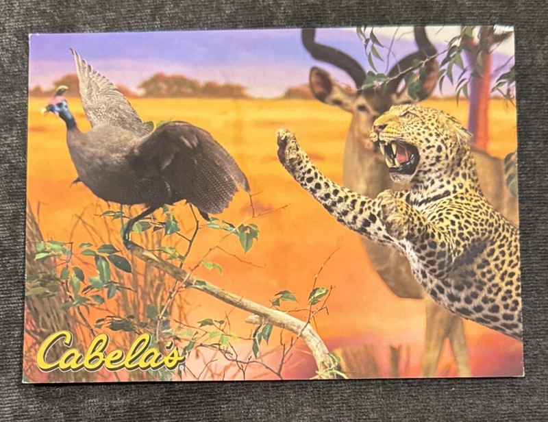 Vintage Postcard Cabela's Wheeling West Virginia Unposted