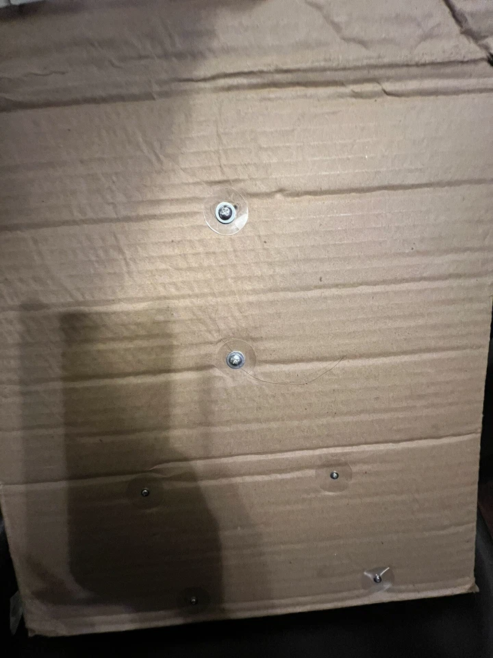 Mono decorativo marco pared bebé koala 2 en 1. Embalaje rasgado. Foto 3 de 3