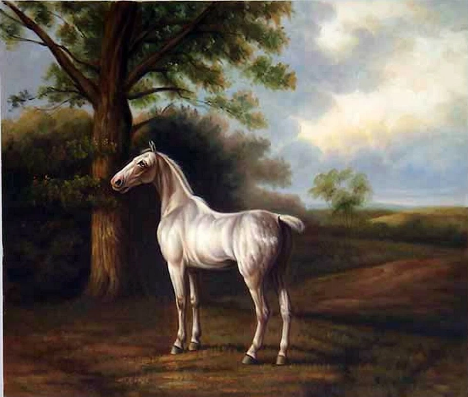 animal cheval tableau originale peinture huile sur toile signée / animal horse o - Photo 1/1