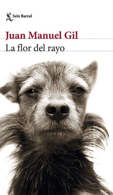 Juan Manuel Gil | La flor del rayo | Taschenbuch | Spanisch (2023) | Seix Barral