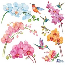 Violette Stickers Orchids & Hummingbirds Crafts Planner Supply Scrapbook