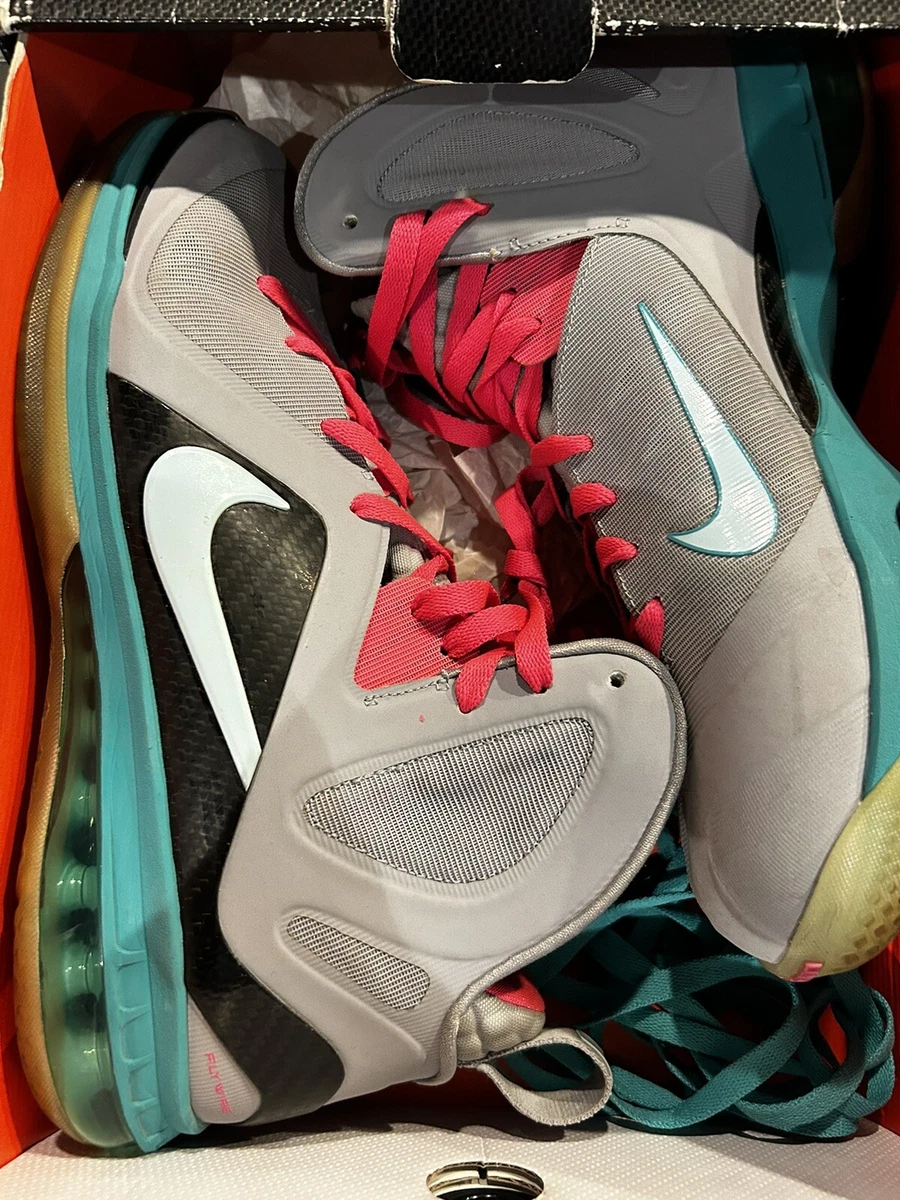nike lebron 9 size 11