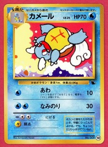 Japanese Wartortle | eBay