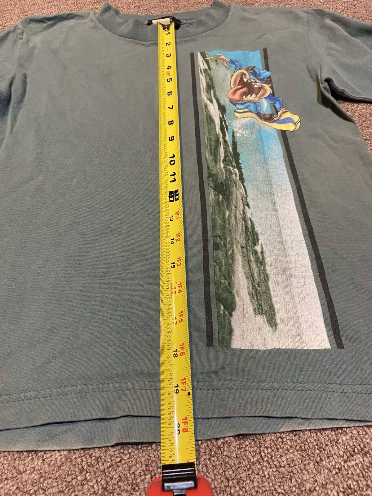 Picture 12 of 21
