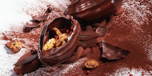 Cioccolato Fondente Equatoriale Noire 55% Valrhona Busta Da 3 Kg - Photo 5/9